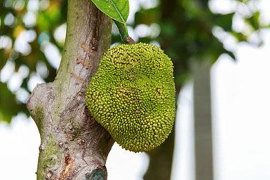 《暗黑破坏神4》PS5版支持键盘和鼠标操作